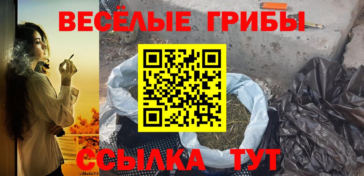 Псилоцибиновые грибы GOLDEN TEACHER  Вход с VPN  Солнечногорск 